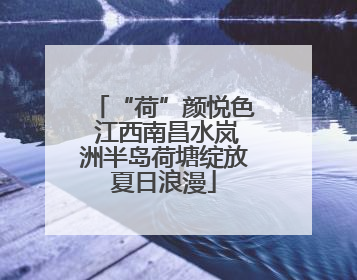 “荷”颜悦色 江西南昌水岚洲半岛荷塘绽放夏日浪漫