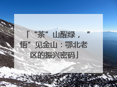 “茶”山醒绿，“悟”见金山：鄂北老区的振兴密码