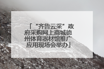 “齐鲁云采”政府采购网上商城德州体育器材馆推广应用现场会举办
