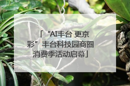 “AI丰台 更京彩”丰台科技园商圈消费季活动启幕