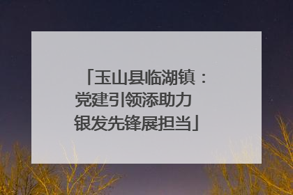 玉山县临湖镇：党建引领添助力 银发先锋展担当
