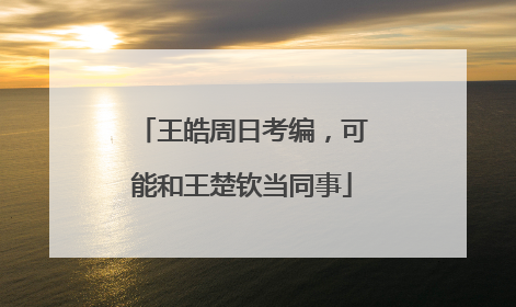 王皓周日考编，可能和王楚钦当同事