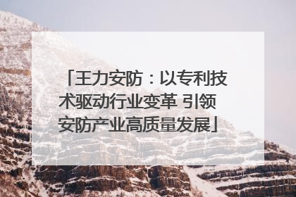 王力安防：以专利技术驱动行业变革 引领安防产业高质量发展