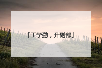 王学勤，升副部