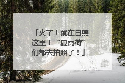 火了！就在日照这里！“夏雨荷”们都去拍照了！