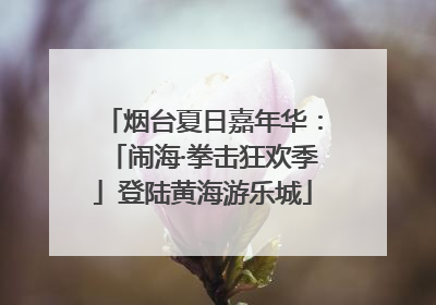 烟台夏日嘉年华：「闹海·拳击狂欢季」登陆黄海游乐城