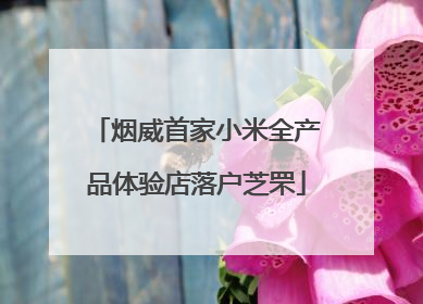 烟威首家小米全产品体验店落户芝罘