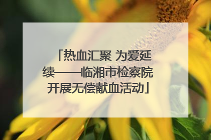 热血汇聚 为爱延续——临湘市检察院开展无偿献血活动