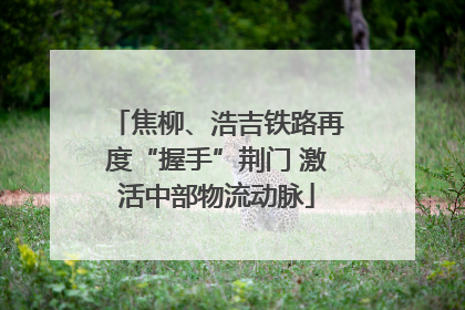 焦柳、浩吉铁路再度“握手”荆门 激活中部物流动脉