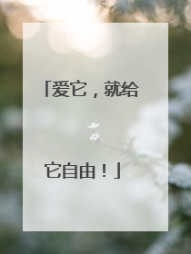 爱它，就给它自由！