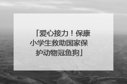 爱心接力！保康小学生救助国家保护动物冠鱼狗