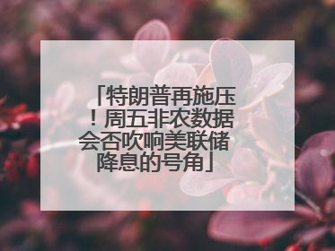 特朗普再施压！周五非农数据会否吹响美联储降息的号角