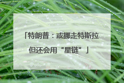 特朗普：或挪走特斯拉 但还会用“星链”