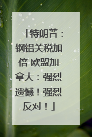 特朗普：钢铝关税加倍 欧盟加拿大：强烈遗憾！强烈反对！