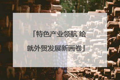 特色产业领航 绘就外贸发展新画卷