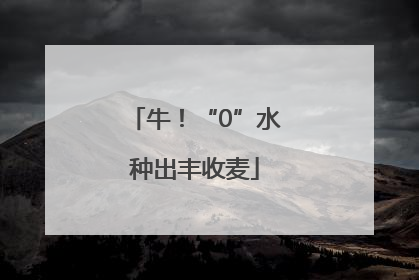 牛！“0”水种出丰收麦