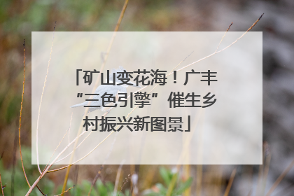 矿山变花海！广丰“三色引擎”催生乡村振兴新图景