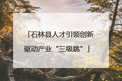 石林县人才引领创新驱动产业“三级跳”