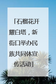 石榴花开耀白塔，新街口举办民族共同体宣传活动