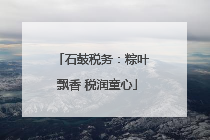 石鼓税务：粽叶飘香 税润童心