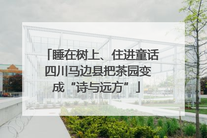 睡在树上、住进童话 四川马边县把茶园变成“诗与远方”