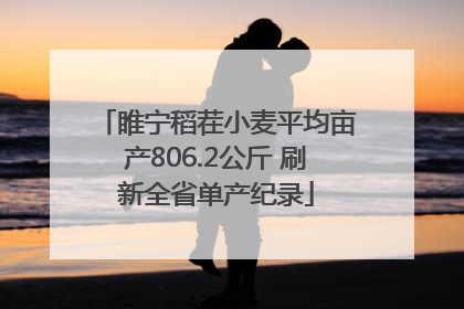 睢宁稻茬小麦平均亩产806.2公斤 刷新全省单产纪录