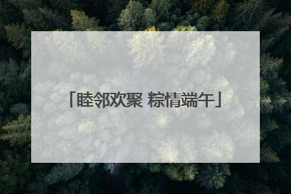 睦邻欢聚 粽情端午