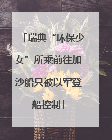 瑞典“环保少女”所乘前往加沙船只被以军登船控制