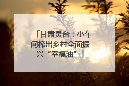 甘肃灵台：小车间榨出乡村全面振兴“幸福油”