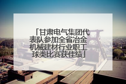 甘肃电气集团代表队参加全省冶金机械建材行业职工球类比赛获佳绩