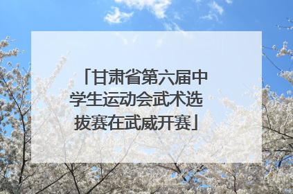 甘肃省第六届中学生运动会武术选拔赛在武威开赛