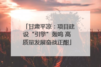 甘肃平凉：项目建设“引擎”轰鸣 高质量发展奋战正酣
