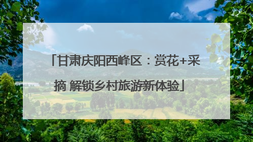 甘肃庆阳西峰区：赏花+采摘 解锁乡村旅游新体验