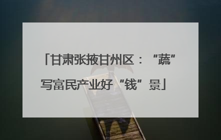 甘肃张掖甘州区：“蔬”写富民产业好“钱”景