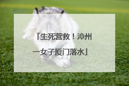 生死营救！漳州一女子厦门落水