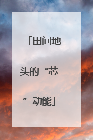 田间地头的“芯”动能