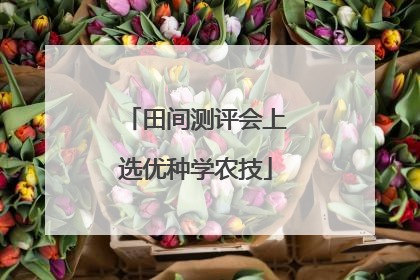 田间测评会上选优种学农技