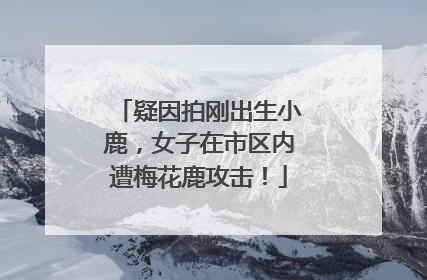 疑因拍刚出生小鹿，女子在市区内遭梅花鹿攻击！