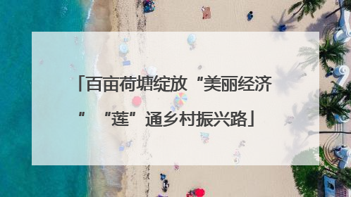 百亩荷塘绽放“美丽经济”“莲”通乡村振兴路