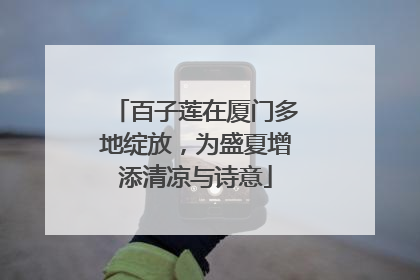 百子莲在厦门多地绽放，为盛夏增添清凉与诗意