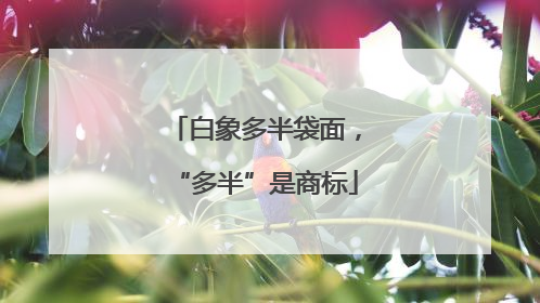 白象多半袋面，“多半”是商标