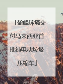 盈峰环境交付马来西亚首批纯电动垃圾压缩车