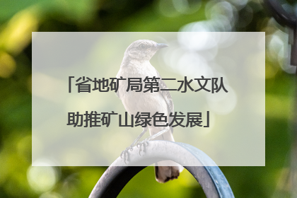 省地矿局第二水文队助推矿山绿色发展