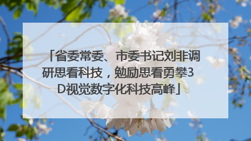 省委常委、市委书记刘非调研思看科技，勉励思看勇攀3D视觉数字化科技高峰