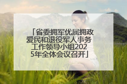 省委拥军优属拥政爱民和退役军人事务工作领导小组2025年全体会议召开