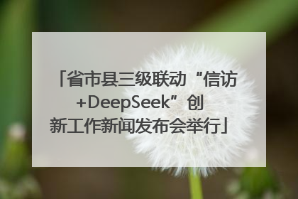 省市县三级联动“信访+DeepSeek”创新工作新闻发布会举行