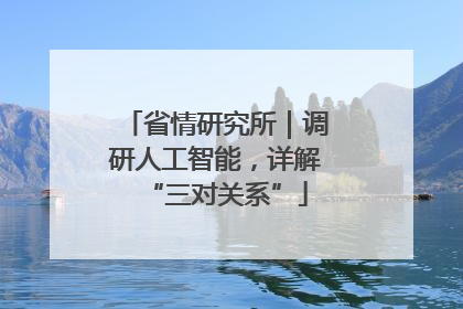 省情研究所｜调研人工智能，详解“三对关系”
