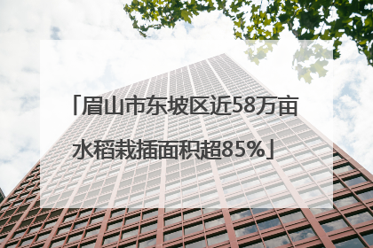 眉山市东坡区近58万亩水稻栽插面积超85%