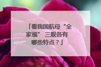 看我国航母“全家福” 三舰各有哪些特点？