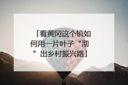 看黄冈这个镇如何用一片叶子“沏”出乡村振兴路